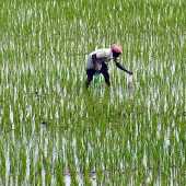 superhero powerhouse